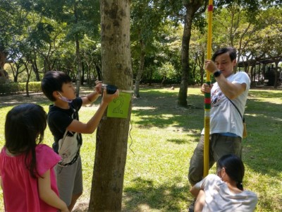 森林護衛隊闖關：樹木健康檢查，測量樹高胸徑 (2)